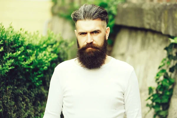 Homme barbu élégant en plein air — Photo