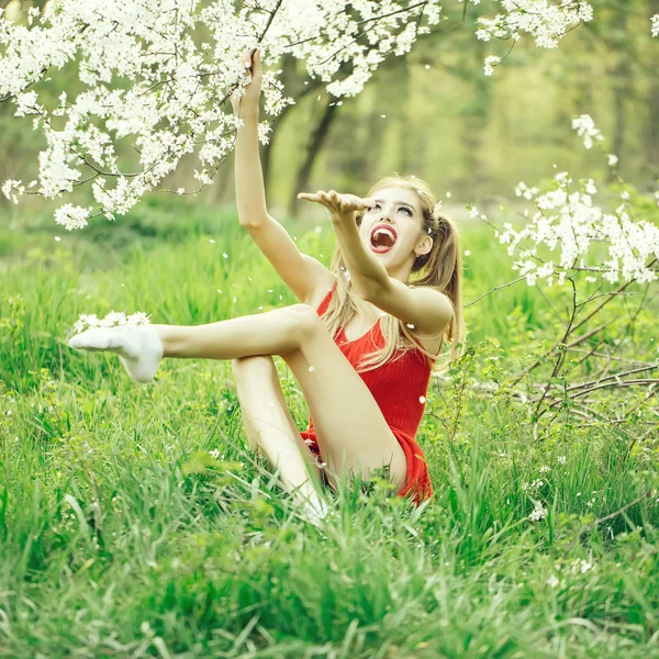 Söt flicka i blossom — Stockfoto