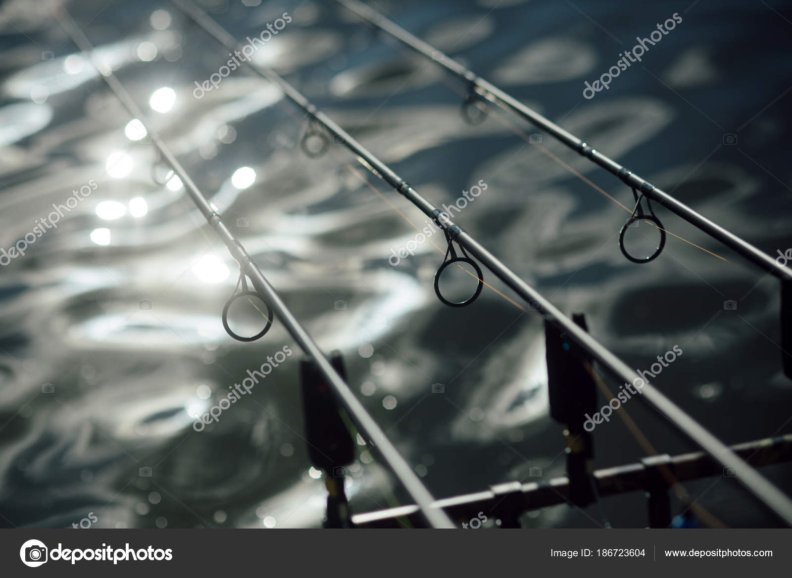 rods and lines