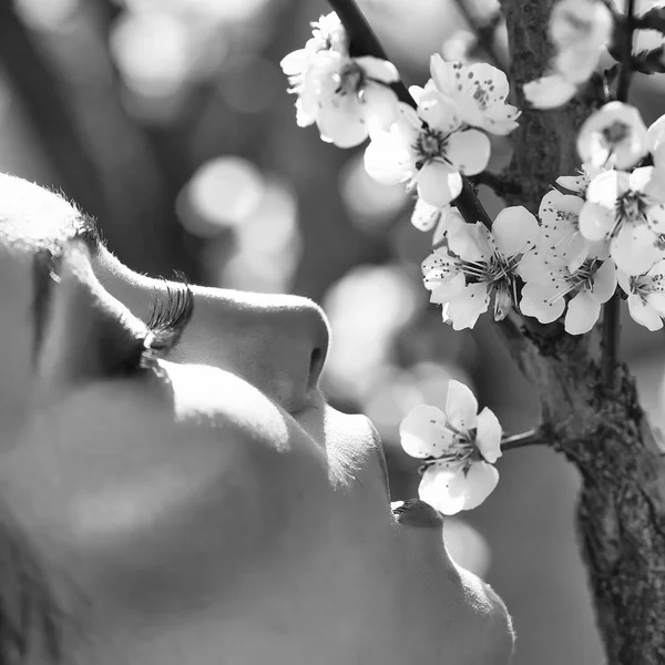 Kvinna med blommande aprikos — Stockfoto