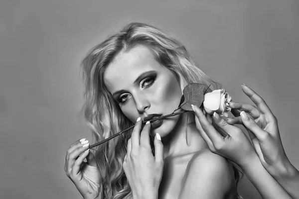 Сексуальна жінка з трояндою — стокове фото