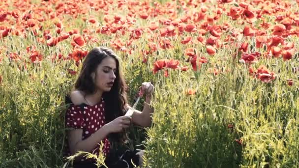 Menina Sensual Campo Papoula Rapariga Terreno Menina Divertindo Campo Flores — Vídeo de Stock