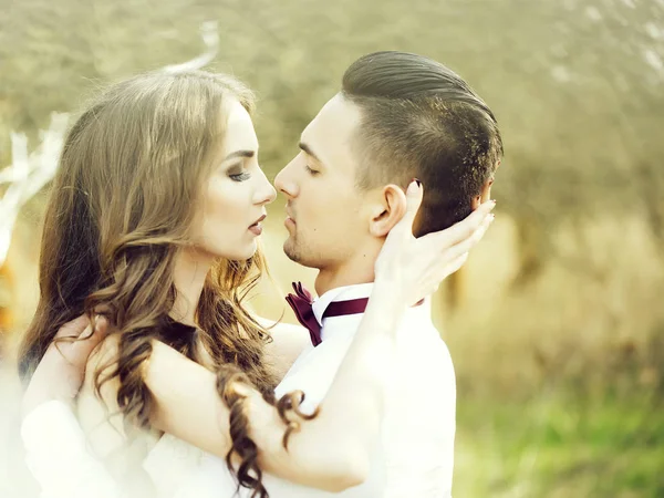 Kissing wedding couple — Stock Photo, Image