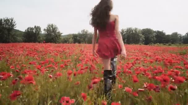 ケシ畑で官能的な女の子 フィールドの少女 女の子は 花畑に楽しんで 花のフィールド — ストック動画