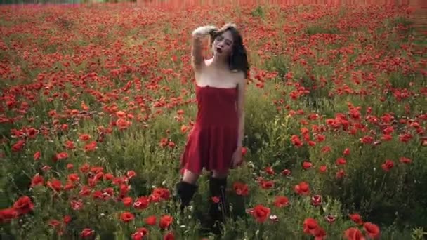 Menina Sensual Campo Papoula Rapariga Terreno Menina Divertindo Campo Flores — Vídeo de Stock