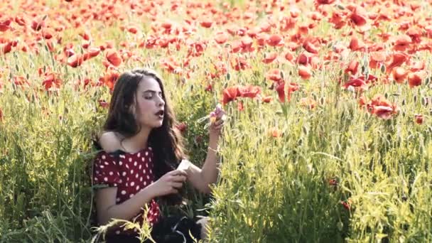 Menina Sensual Campo Papoula Rapariga Terreno Menina Divertindo Campo Flores — Vídeo de Stock