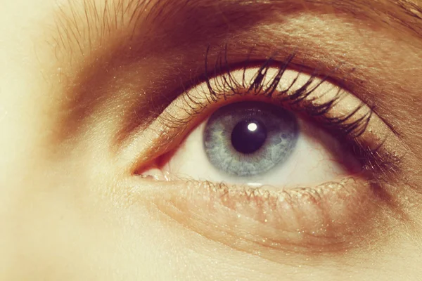 Красиве жіноче блакитне око — стокове фото