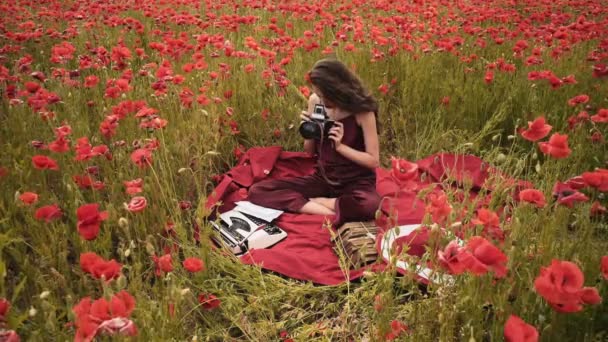 Sinnliches Mädchen Mohnfeld Junges Mädchen Auf Dem Feld Mädchen Auf — Stockvideo