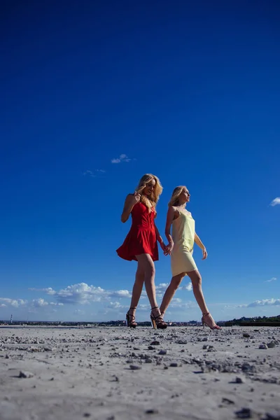 Jumeaux en été promenade sur fond de ciel bleu . — Photo