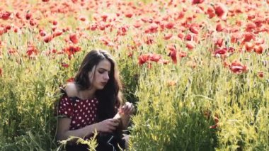 Haşhaş alan. Günbatımı alanında. Sunrise afyon alan.