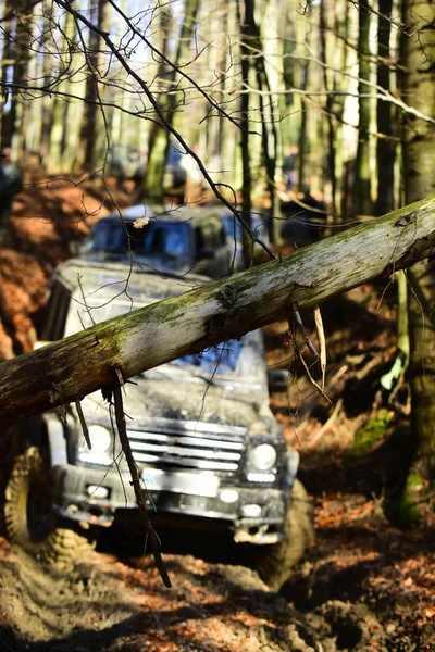 Carrera offroad en el soleado día de otoño. Coches todo terreno sucios — Foto de Stock