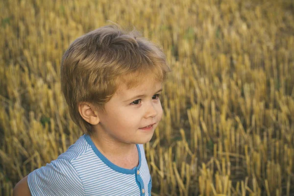 Sevimli yüzü, sarışın saç kesim çimenlerin üzerinde olan küçük çocuk — Stok fotoğraf