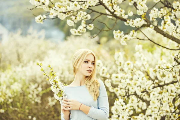 Skönhet och naturen, flicka håller grenar av vit, blommande fl — Stockfoto