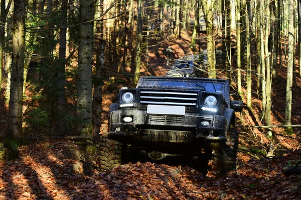 Verdreckte Geländewagen mit fallendem Wald im Hintergrund, defokussiert. — Stockfoto