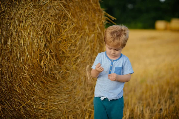 Little boy with spikelet at hay bale, summer