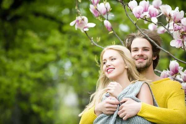 Manolya çiçek bahar bahçe