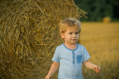 Turizm, seyahat, eko turizm, tatil,