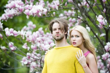 Hassasiyet çift, çiçek Manolya bahar bahçe