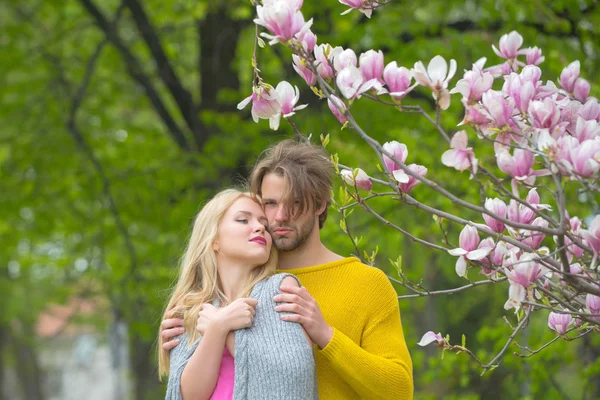 Magnólia fa, rózsaszín virágzó virágok, pár szerelmes — Stock Fotó
