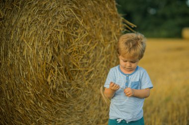 Çocuk oyun spikelet ile çiftlik veya ahır alan, tatil