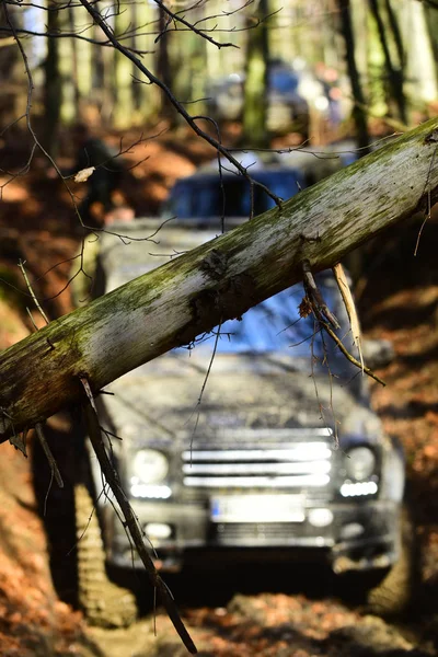 Dirty offroad auta překonat překážky v lese podzim, Selektivní ostření. — Stock fotografie