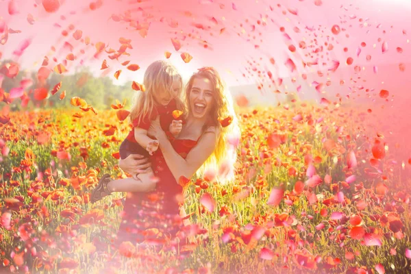 Kwiaty w łące, czerwony kwiat maku — Zdjęcie stockowe