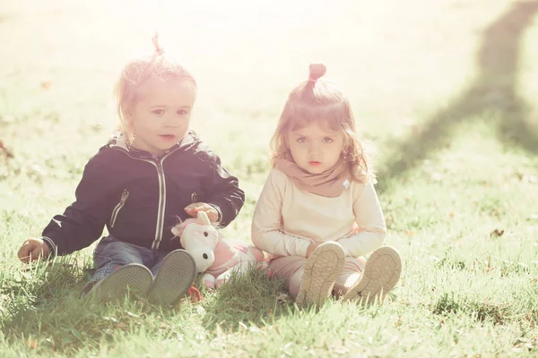 Irmã Irmão Brincam Com Cavalo Brinquedo Dia Ensolarado Família Amor — Fotografia de Stock