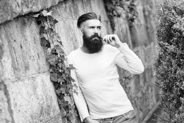 Şık sakallı adam açık