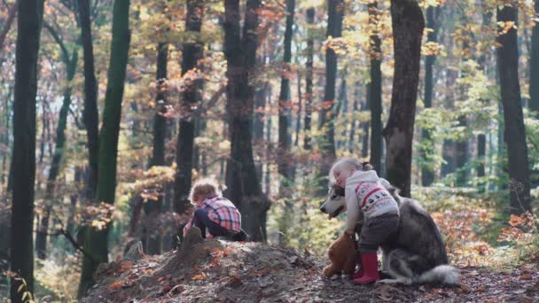 森林里的孩子们森林里的孩子们 女孩和男孩在森林里玩耍 快乐的孩子们在森林里漫步 — 图库视频影像