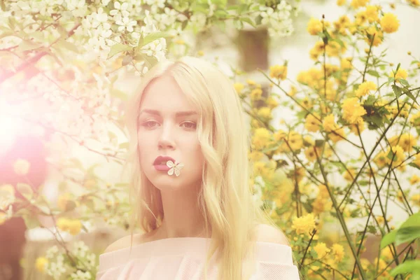 Mooi meisje houdt cherry bloem bloeiende boom, lentetuin — Stockfoto