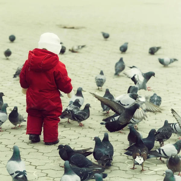 孩子走在红色的温暖整体与鸽子在铺砌的城市广场 灰色的城市景观 成群的鸟儿 活动和户外娱乐 — 图库照片
