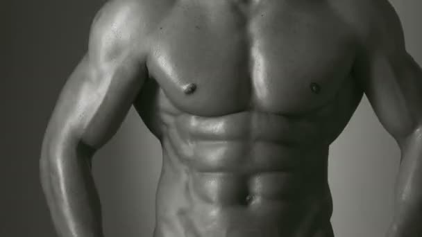 Sportif Musclé Athlète Triceps Caucasien Athlétique Six Pack Muscles Thoraciques — Video