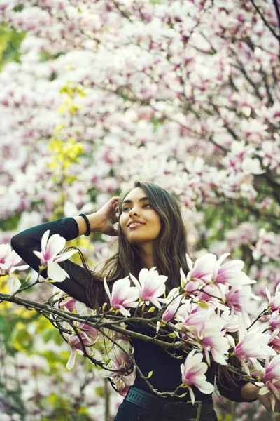 Beautiful nature, spring or summer, magnolia — Stock Photo, Image
