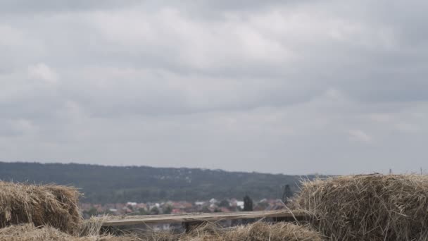 Paysage Agricole Automne Village Dans Les Montagnes Foin Ferme — Video