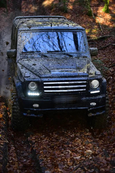 SUV coberto com lama no caminho coberto com folhas . — Fotografia de Stock
