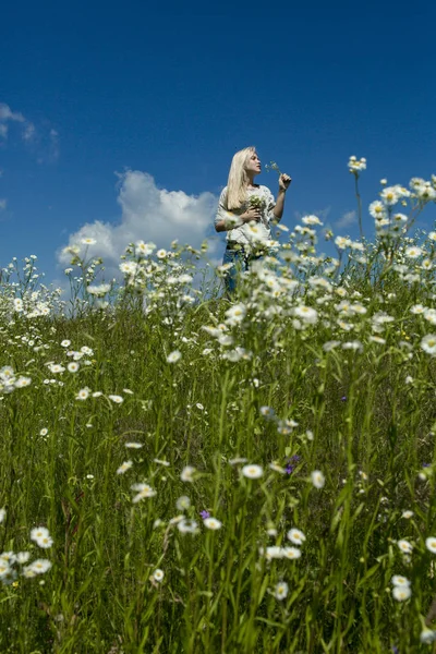Campo di fiori margherita, giovane donna in natura — Foto Stock
