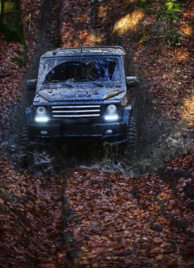 Kirli offroad araba ile orman arka plan üzerine düşmek. SUV yolda çamur kaplı. Işıklı siyah crossover açık, çamur sıçrama ile su birikintisi ile sürüş. Aşırı eğlence kavramının.
