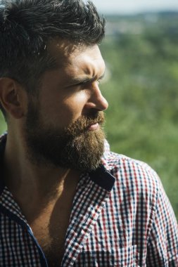 Sakal ve bıyık ahşap arka plan üzerinde olan adam. Adam ciddi bir yüz göz uzakta ile güneşli açık.