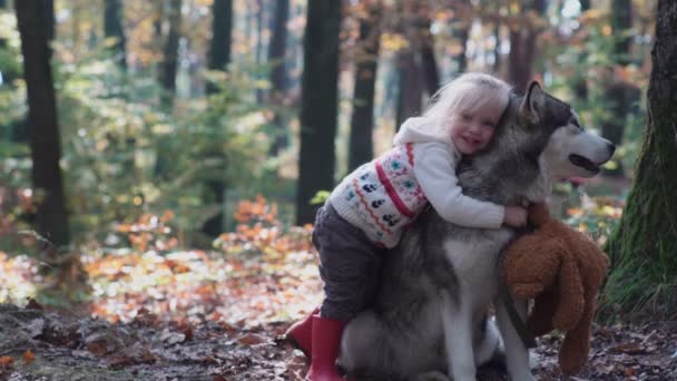 Primo Amore Bambini Nella Foresta Bambini Nella Foresta Ragazza Ragazzo — Video Stock