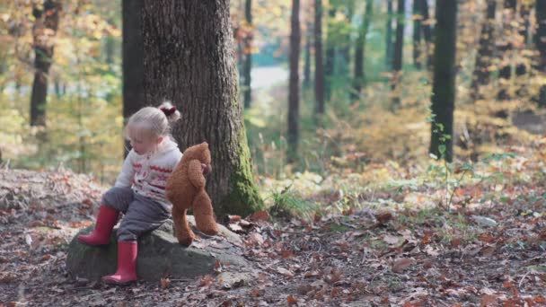 夏の日の森でハイキング愛らしい少女 幸せな子フォレストの女の子 小さな子供は 自然観察の散歩で秋の演奏します 森の中の犬を連れて歩いて幸せな家族 — ストック動画