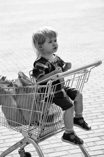 Lindo chico en carrito de compras —  Fotos de Stock