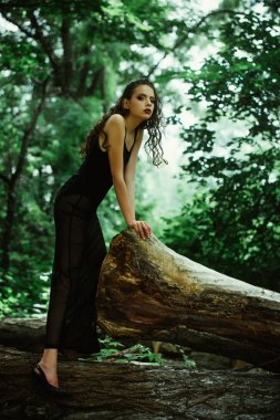 Moda model glamour bak, yaz tatili ile. Şık elbiseli kadın poz ağaç gövdesinde, moda. Makyaj ve niteliğine, uzun kıvırcık saçlı kadın ile bak. Güzellik kız ormanda, tazelik