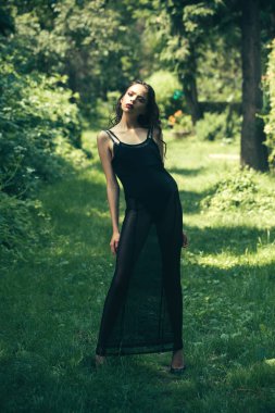 iğne yapraklı orman içinde lüks saçlı zarif kadın portresi