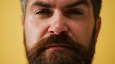 Yakışıklı duygusal adam. Genç adam farklı duygular ifade. Sakallı yakışıklı olan duyguların yüzleri. Erkek yüz duygular. Farklı ifadelerle sakallı adam.