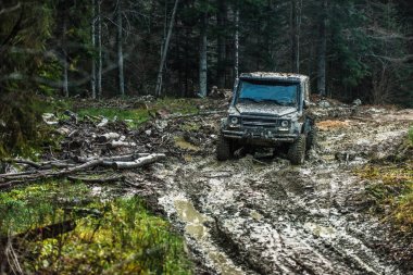 Kirli offroad araba arka plan üzerinde koyu orman ile. SUV kırsal yolda çamur kaplı. Güneşli günde yarış crossover. Aşırı eğlence ve sürüş kavramı.