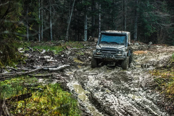 Dirty Offroad Auto Temném Lese Pozadí Suv Zastříkaný Blátem Venkovské — Stock fotografie