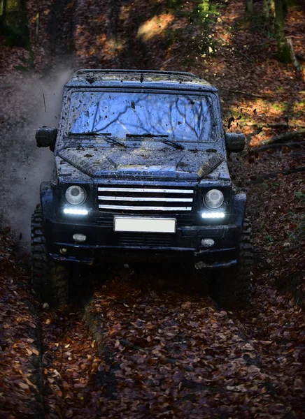 Smutsiga Offroad Bil Med Falla Skog Bakgrunden Suv Täckt Med — Stockfoto