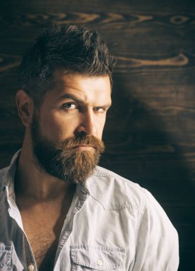 Berber ve Kuaför Salonu. Sakal ve bıyık ahşap arka plan üzerinde olan adam. Saç kesimi sakallı adam, Milli. Ciddi hipster berber dükkanı şarkısı, bak. Moda ve erkek güzelliği adam ağaran.