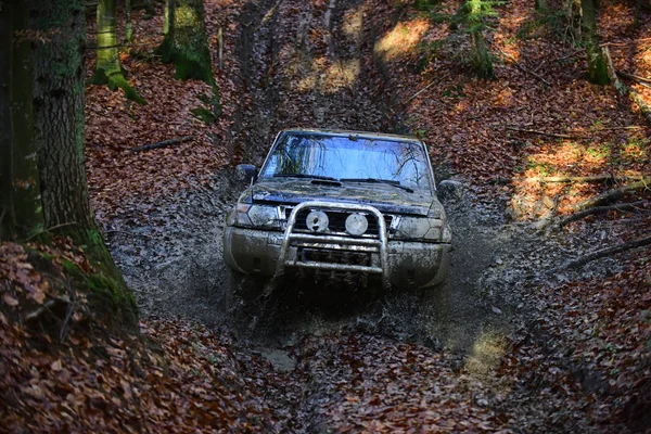 Dirty Offroad Car Fall Forest Background Sunny Autumn Day Suv — Stock Photo, Image