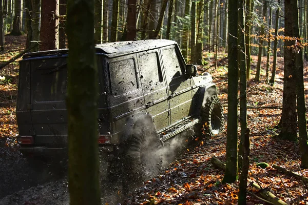 Kirli offroad araba ile düşmek orman arka plan üzerinde — Stok fotoğraf